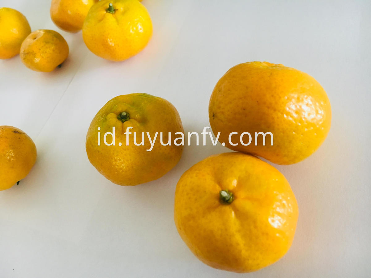 fresh baby mandarin